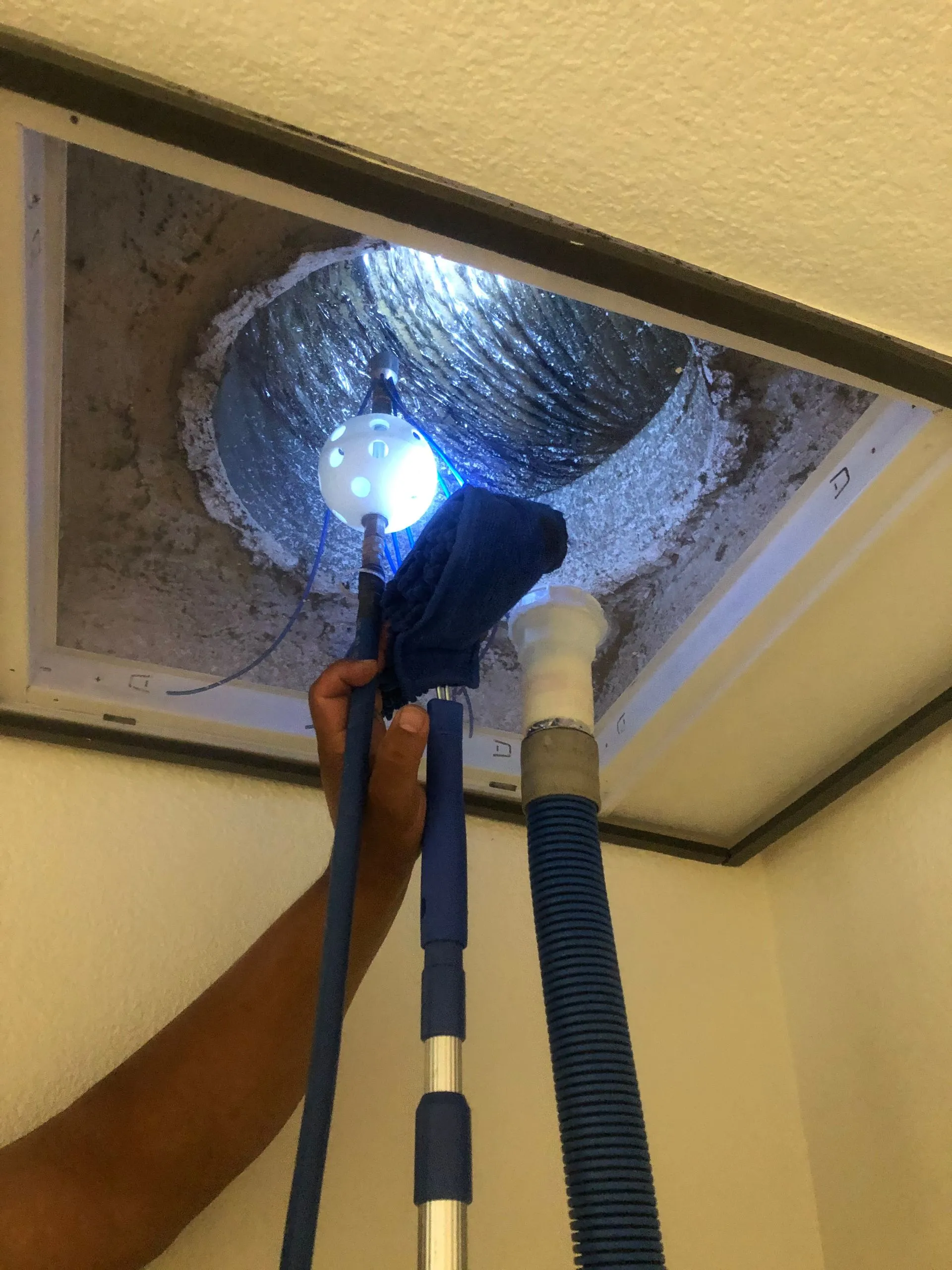 Professional cleaning and recovery services in West Central Florida